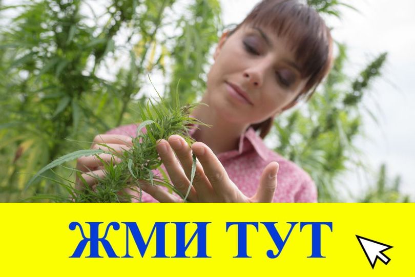 Купить наркотики в Якутске